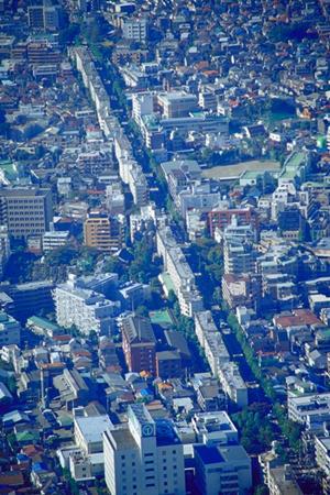 信頼と安心を提供するマンション管理会社MMSの魅力とは？