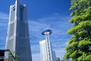 有限会社幸せホームの特徴などについて
