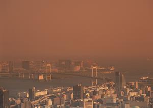 豊富な実績のある雨漏り調査と修理